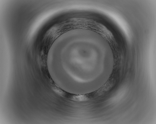 X0000115520431200911131449