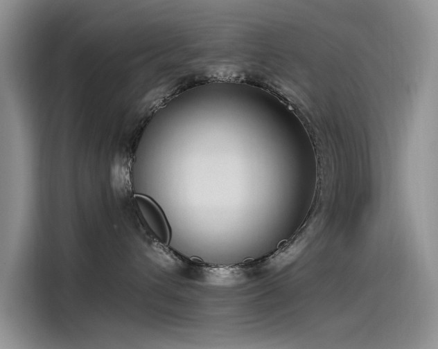 X0000115520432200911131449