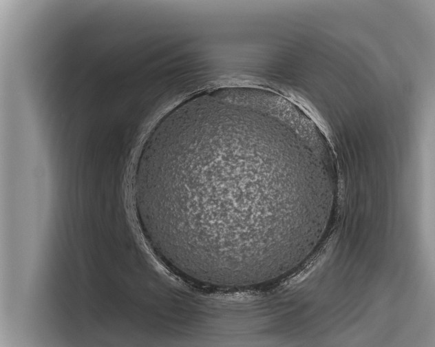 X0000115520433200911131448