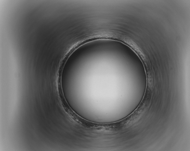 X0000115520434200911131448