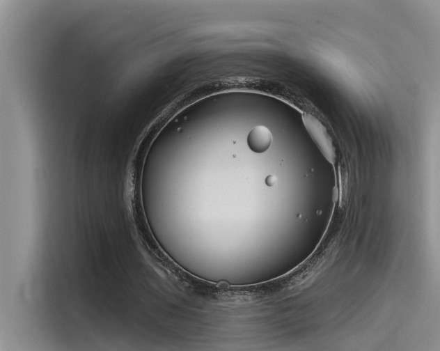 X0000115520435200911131448