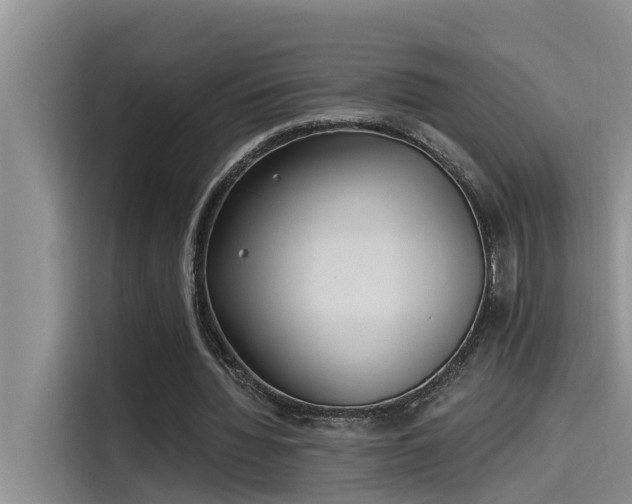 X0000115520436200911131448