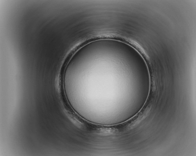 X0000115520439200911131448