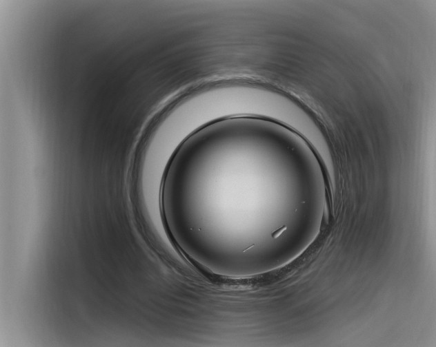 X0000115520440200911131448