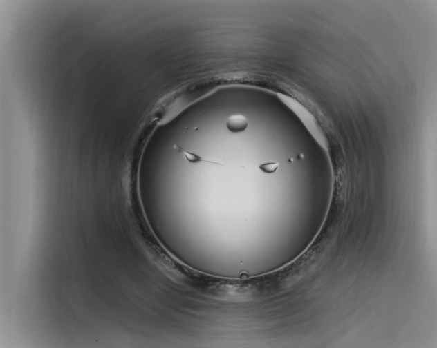 X0000115520442200911131448