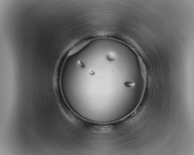 X0000115520443200911131448