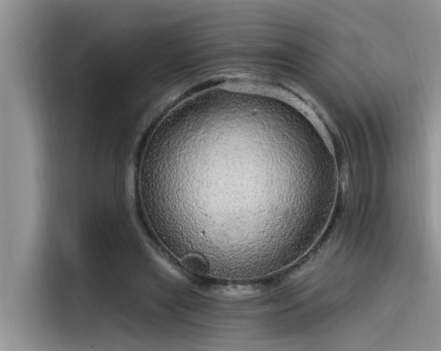 X0000115520445200911131448