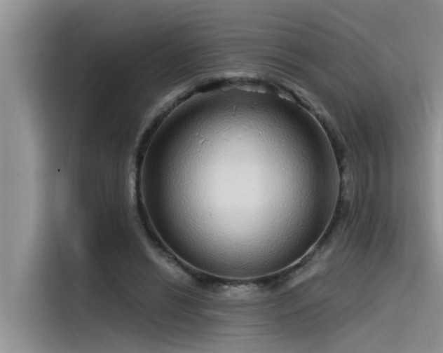 X0000115520446200911131448