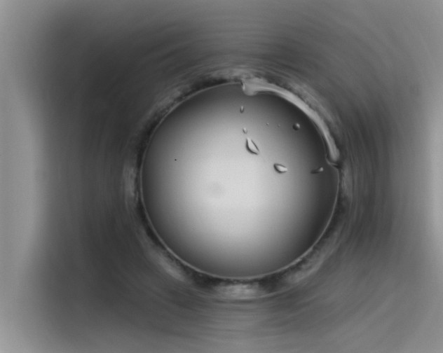 X0000115520449200911131448