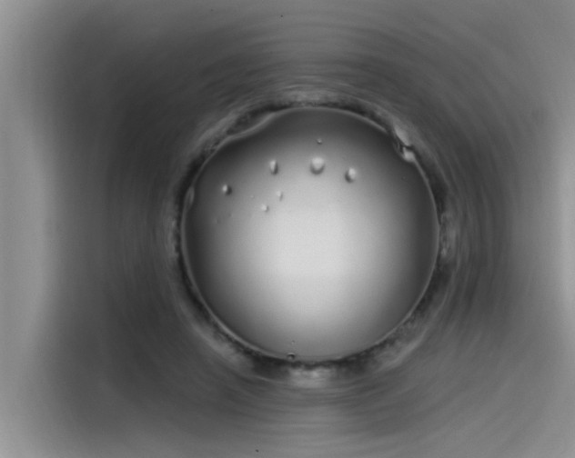 X0000115520450200911131448