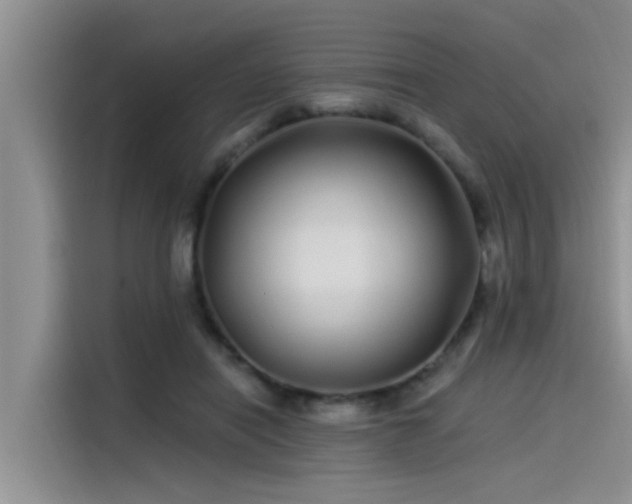 X0000115520454200911131448