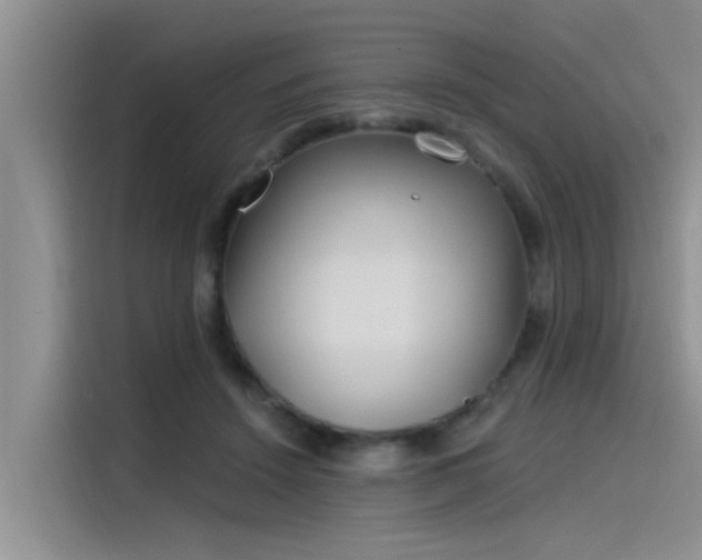 X0000115520456200911131449