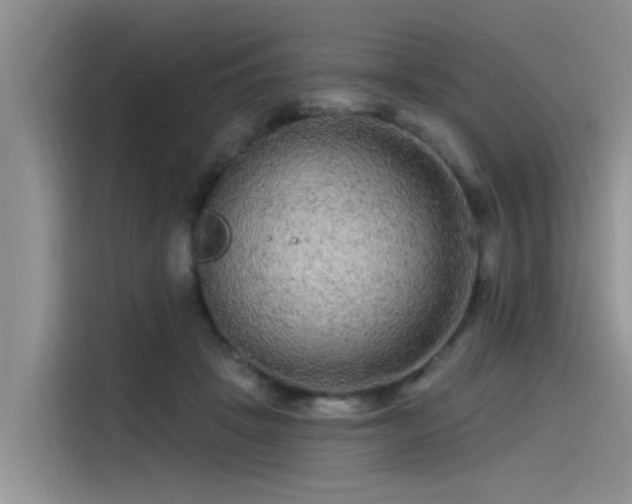 X0000115520457200911131449