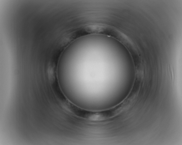 X0000115520460200911131449