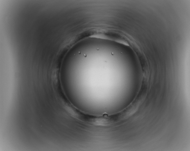 X0000115520462200911131449