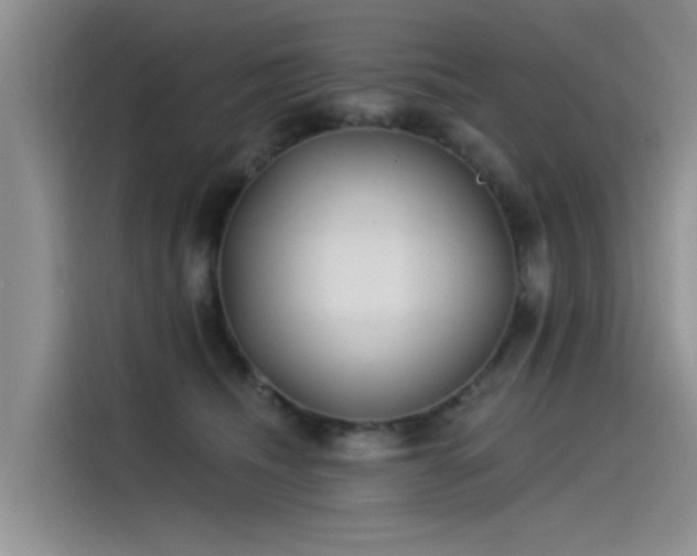 X0000115520468200911131449