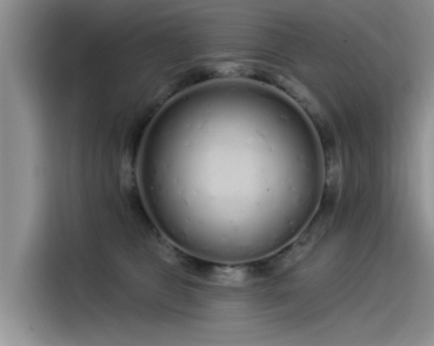 X0000115520469200911131449