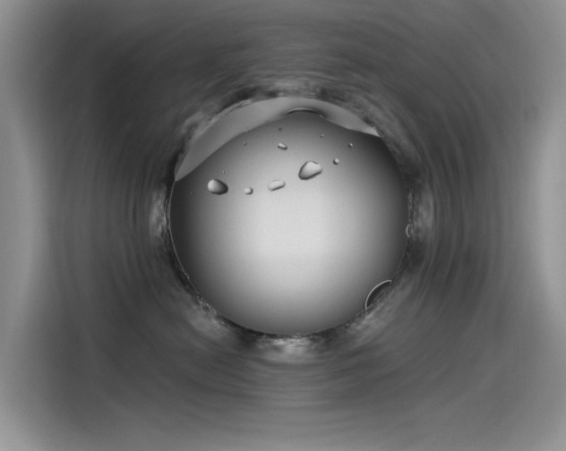 X0000115520478200911131449