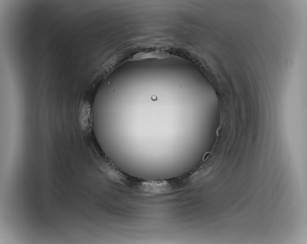 X0000115520480200911131449