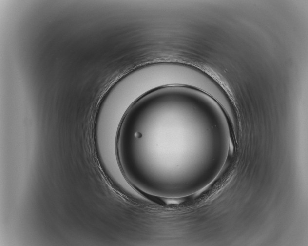 X0000115520481200911131448