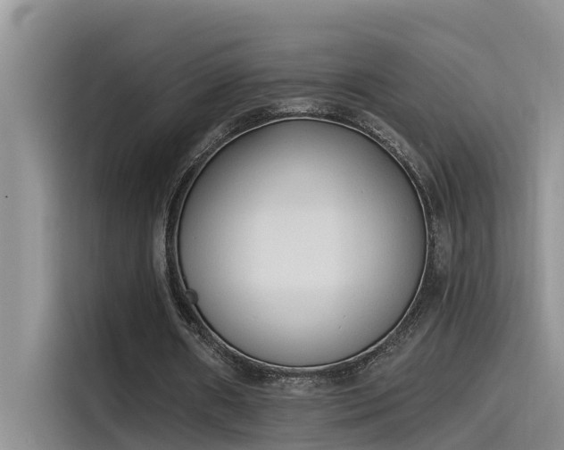 X0000115520482200911131448