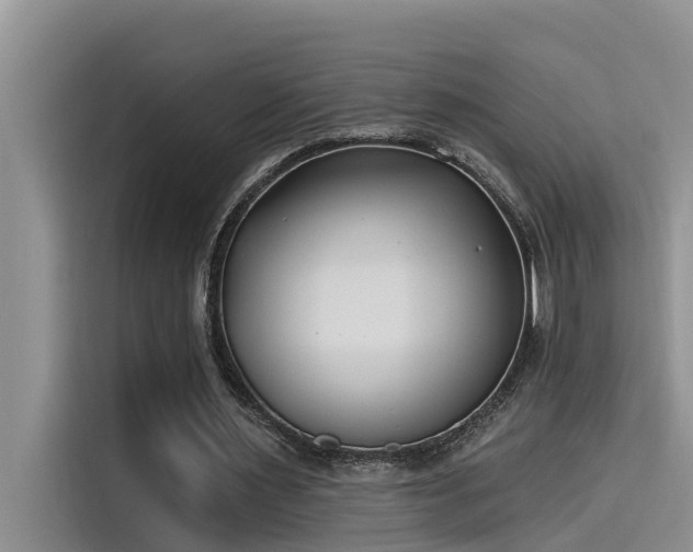 X0000115520483200911131448