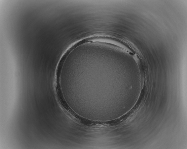 X0000115520484200911131448