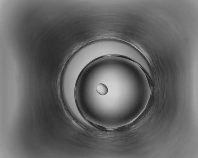 X0000115520485200911131448