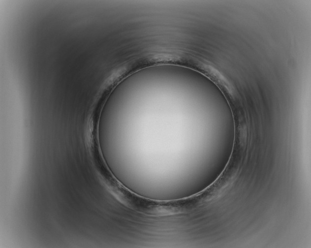 X0000115520490200911131448