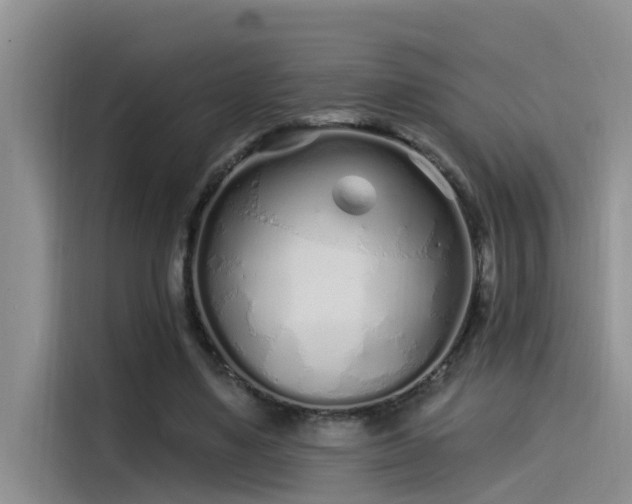 X0000115520491200911131448