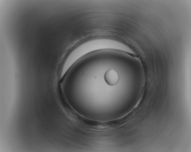 X0000115520496200911131448