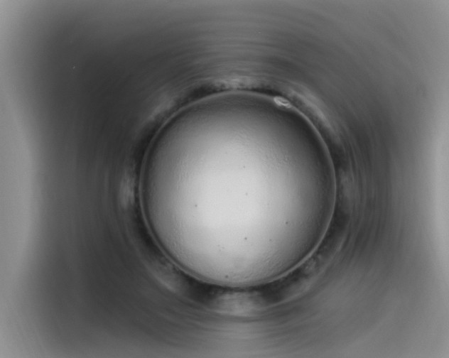 X0000115520499200911131448