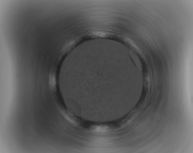 X0000115520500200911131448