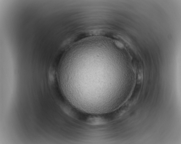 X0000115520503200911131448