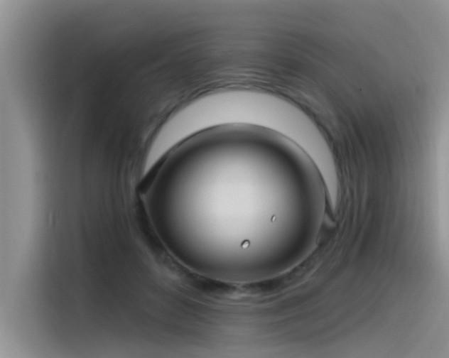 X0000115520504200911131448