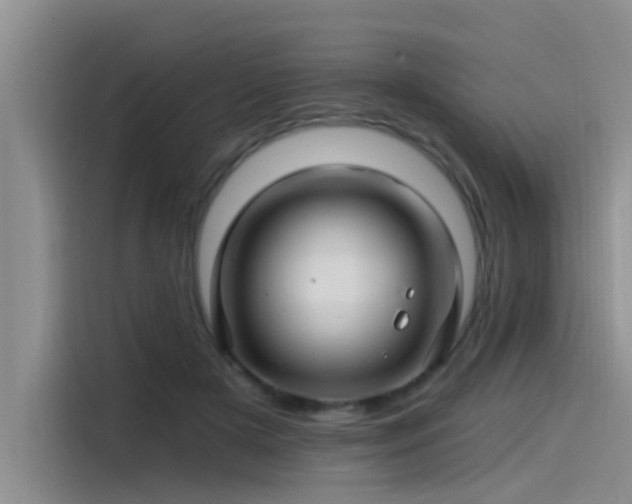 X0000115520505200911131448