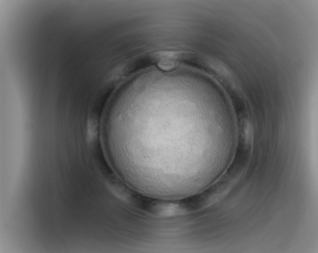 X0000115520507200911131448