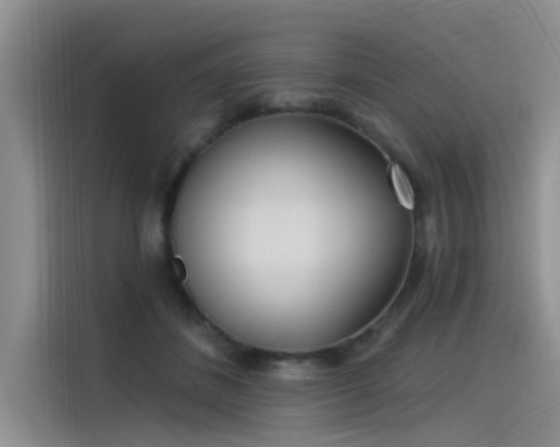 X0000115520508200911131448