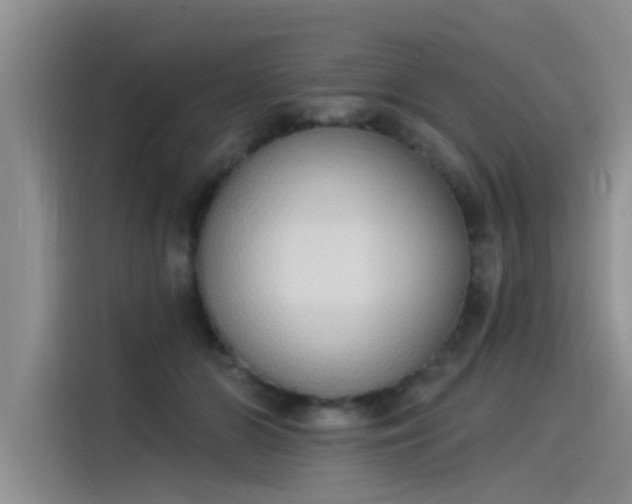 X0000115520510200911131448