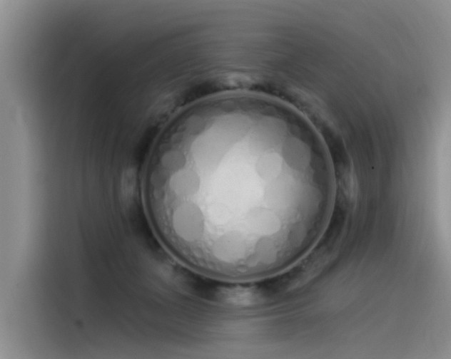 X0000115520511200911131448