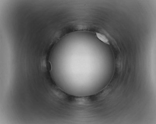 X0000115520516200911131448