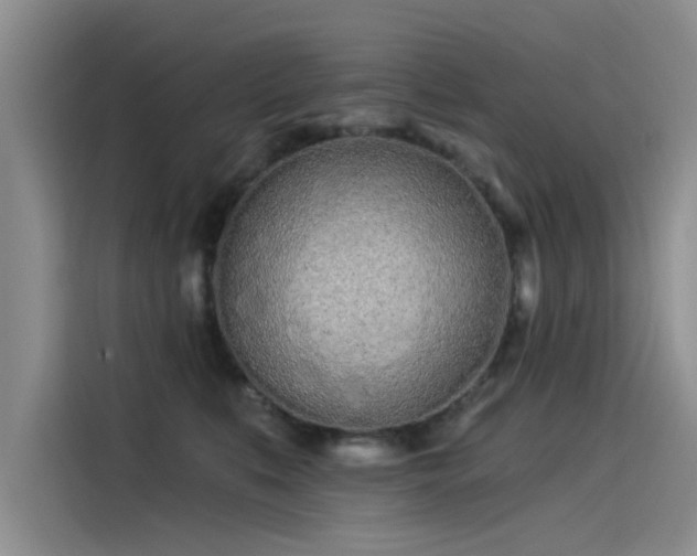 X0000115520519200911131448