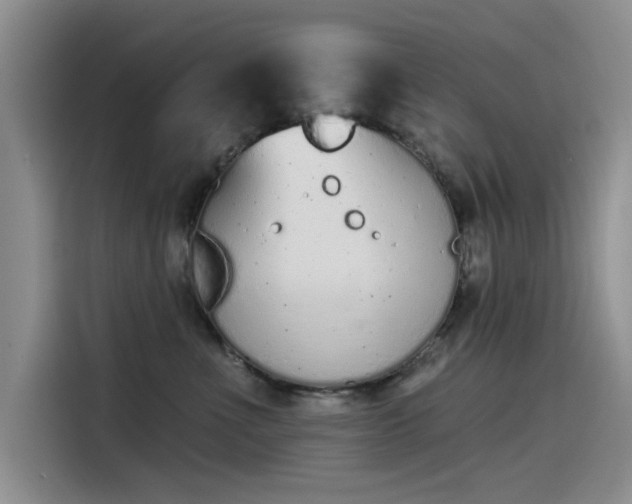 X0000115520523200911131448