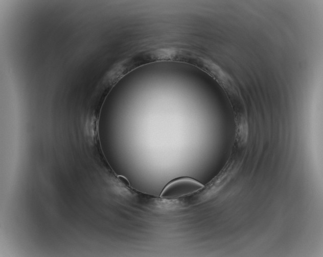 X0000115520525200911131448