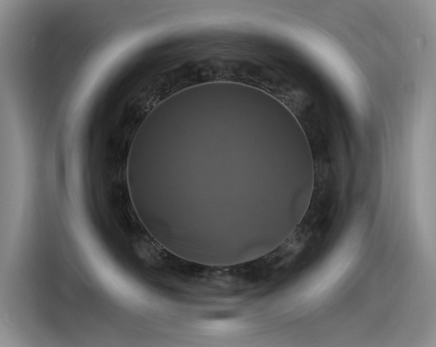 X0000115520526200911131448