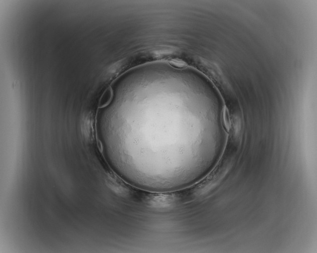 X0000115520527200911131448