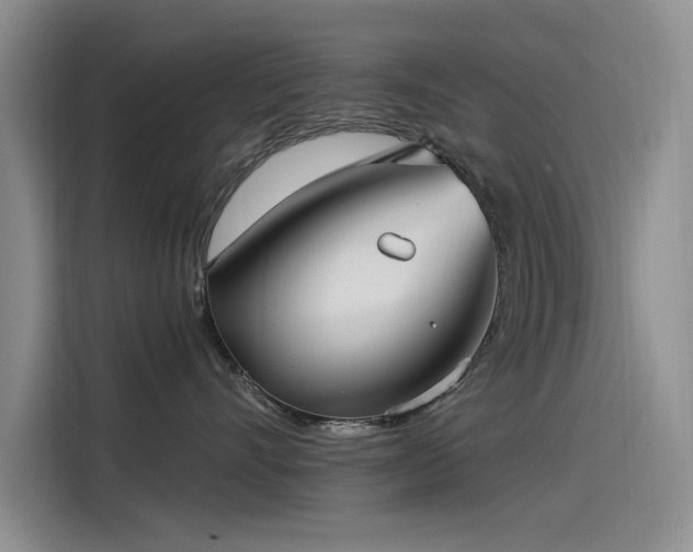 X0000115520528200911131448