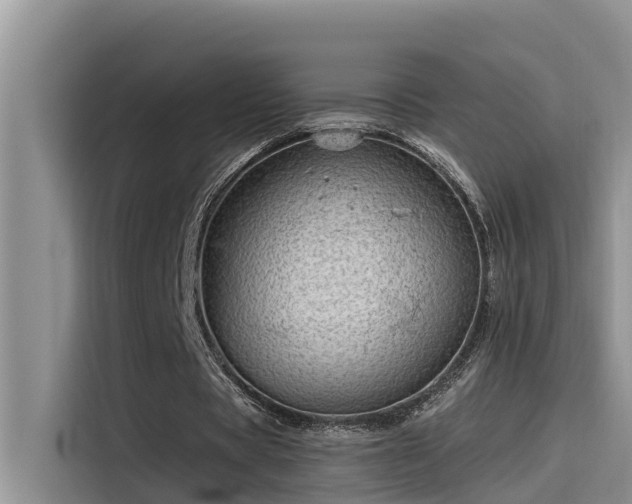 X0000115520529200911131447