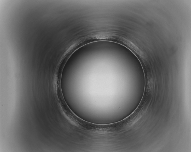 X0000115520530200911131447