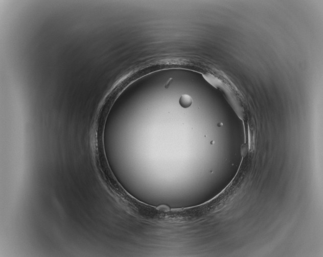 X0000115520531200911131447